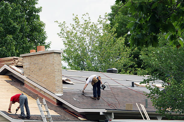 Best Roof Gutter Cleaning  in Pembroke, GA